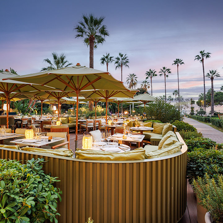 An outdoor dining patio in Cannes at dusk, with yellow umbrellas and palm trees in the distance