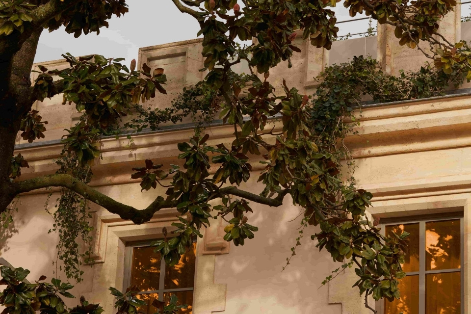 Beige buildingg with leafy tree covering part of it