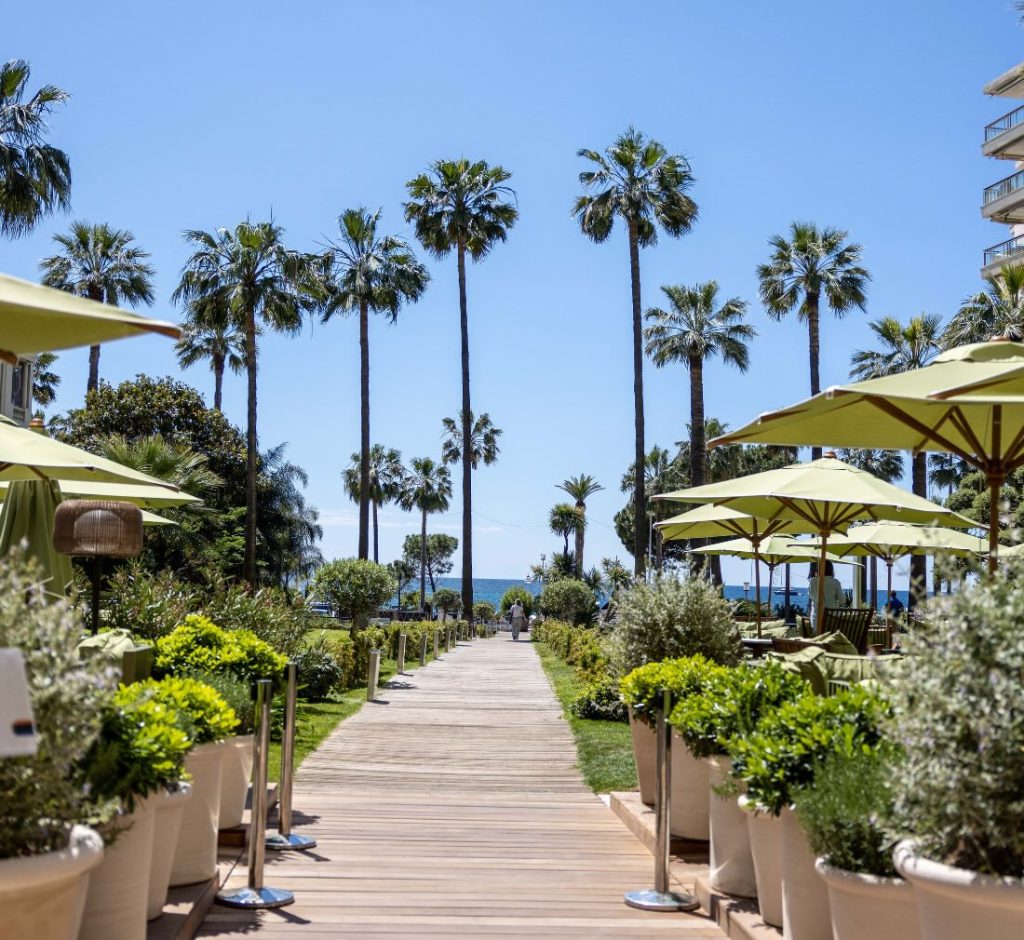 A boardwalk in Cannes lined with yellow umbrellas and palm trees in the distance against a clear blue sky