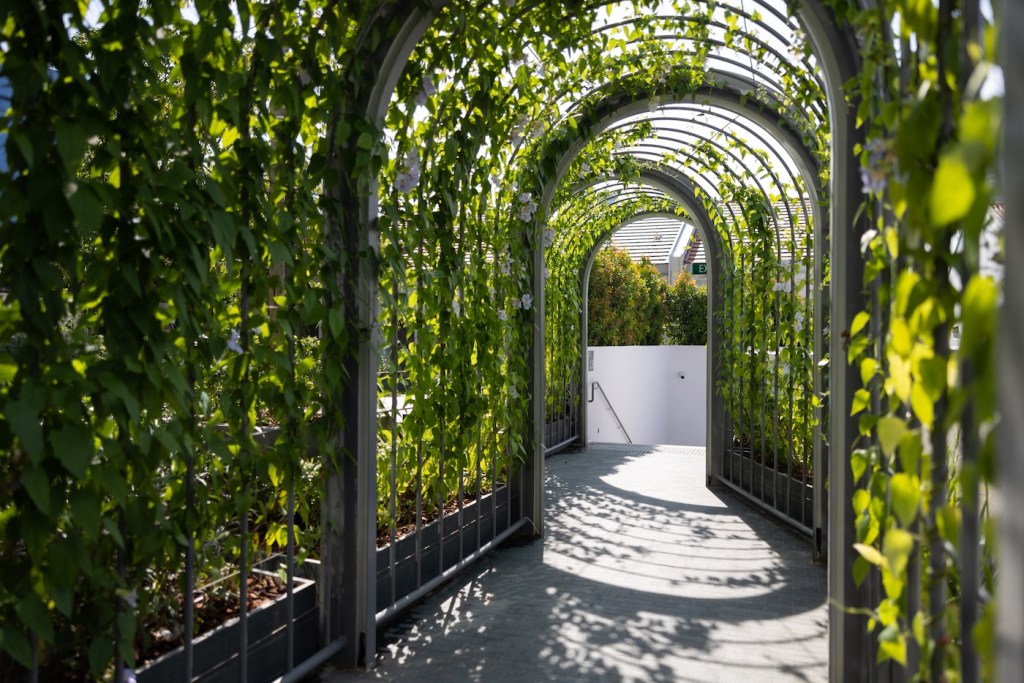 Greenery wrapped outdoor tunnel leading to a white staircase