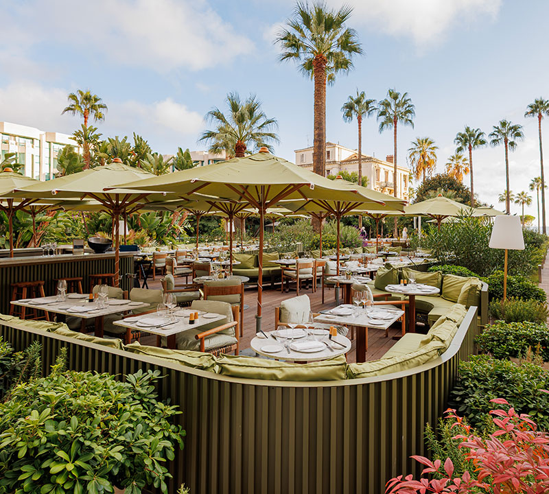 An outdoor dining patio in Cannes at dusk, with yellow umbrellas and palm trees in the distance