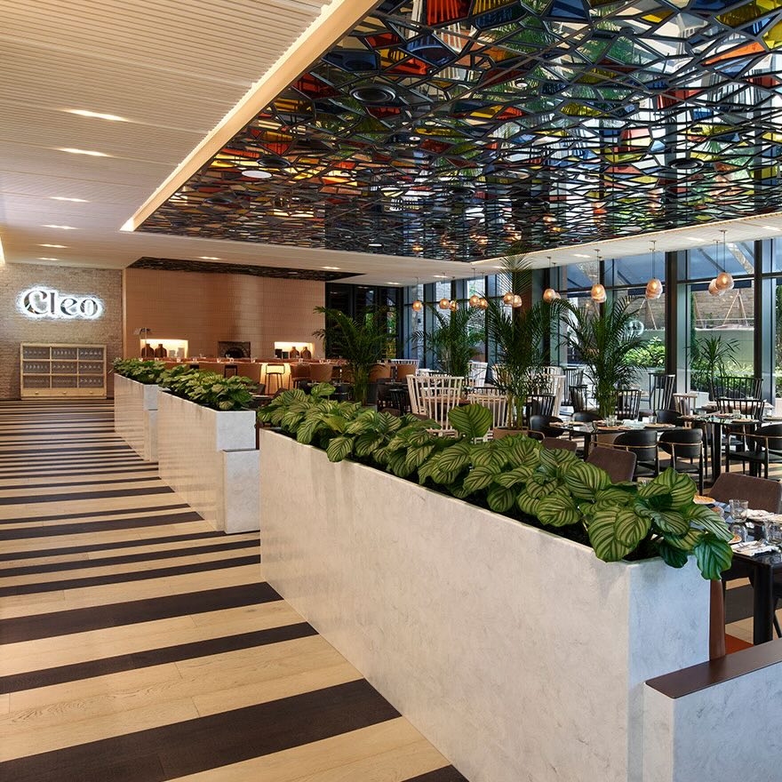 Black and white striped floor with white wall with plants on top and a glass-stained ceiling over a dining room