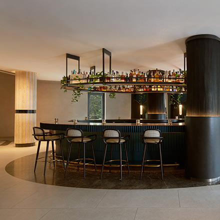 Sleek modern dark bar with cream and black outlined barstools with liquor bottles on a high shelf with greenery draping down.