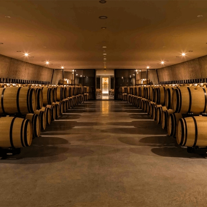 Casks of wine in Bordeaux vineyard