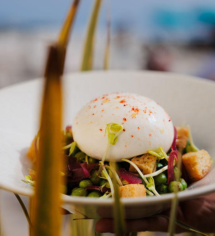 Plato de aperitivo de burrata de Hyde Beach en Cannes