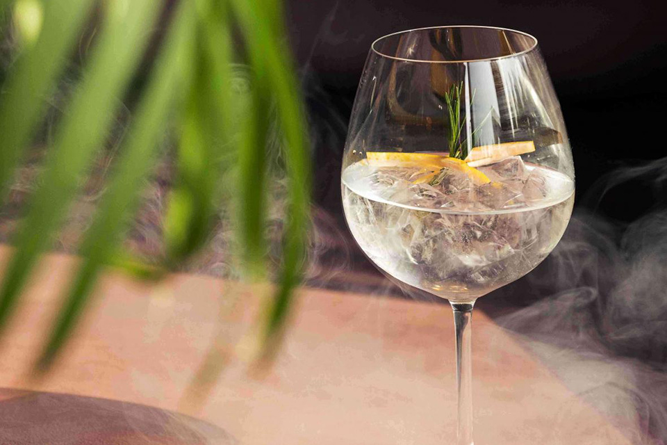 Clear cocktail surrounded with smoke, with a blurry palm frond in the foreground