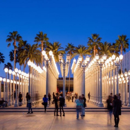 Art installation featuring rows of lamp posts and palm trees outside the Los Angeles County Museum of Art