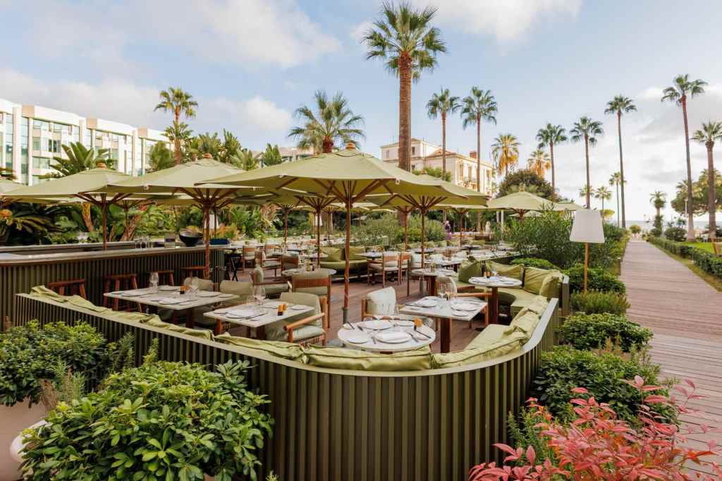 Une terrasse pour manger en plein air à Cannes, avec des parasols jaunes et des palmiers au loin