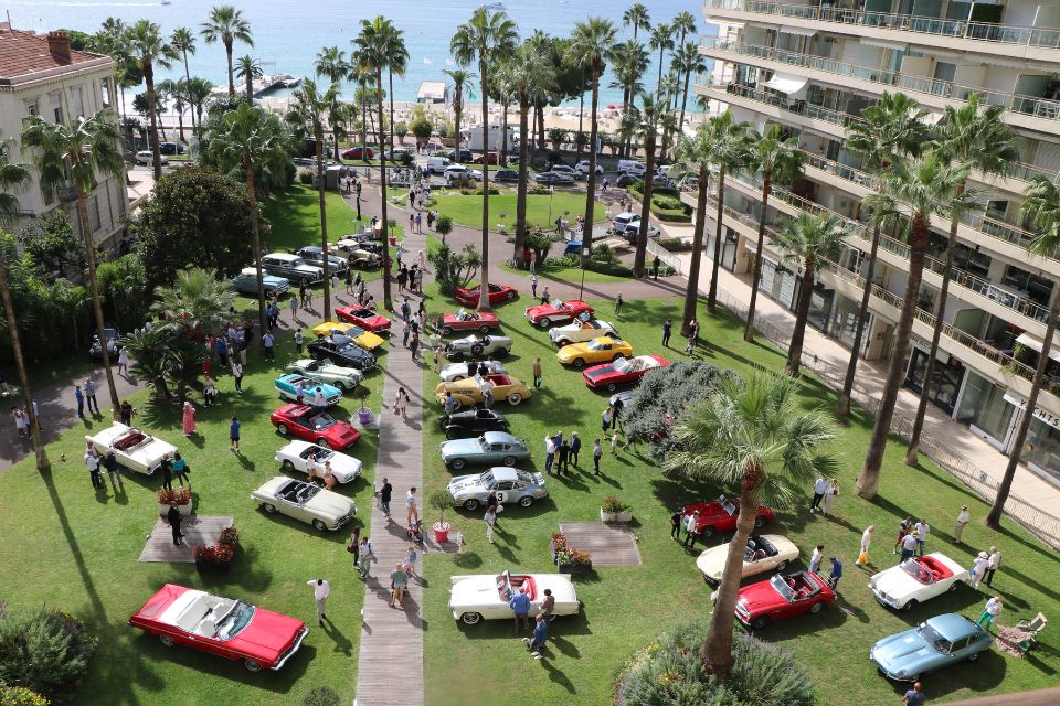 Large green lawn with lots of palm trees and vintage cars parked on it