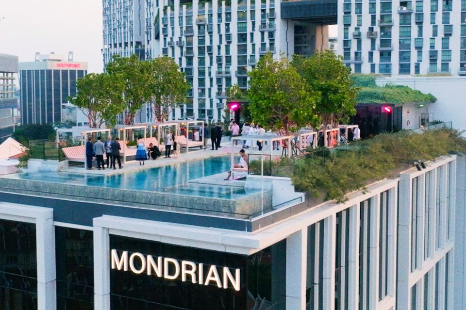 Rooftop pool with trees and lush plants and people enjoying a party