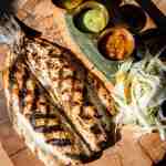 striped bass