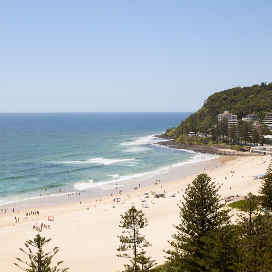 Beach with pine trees surrounding