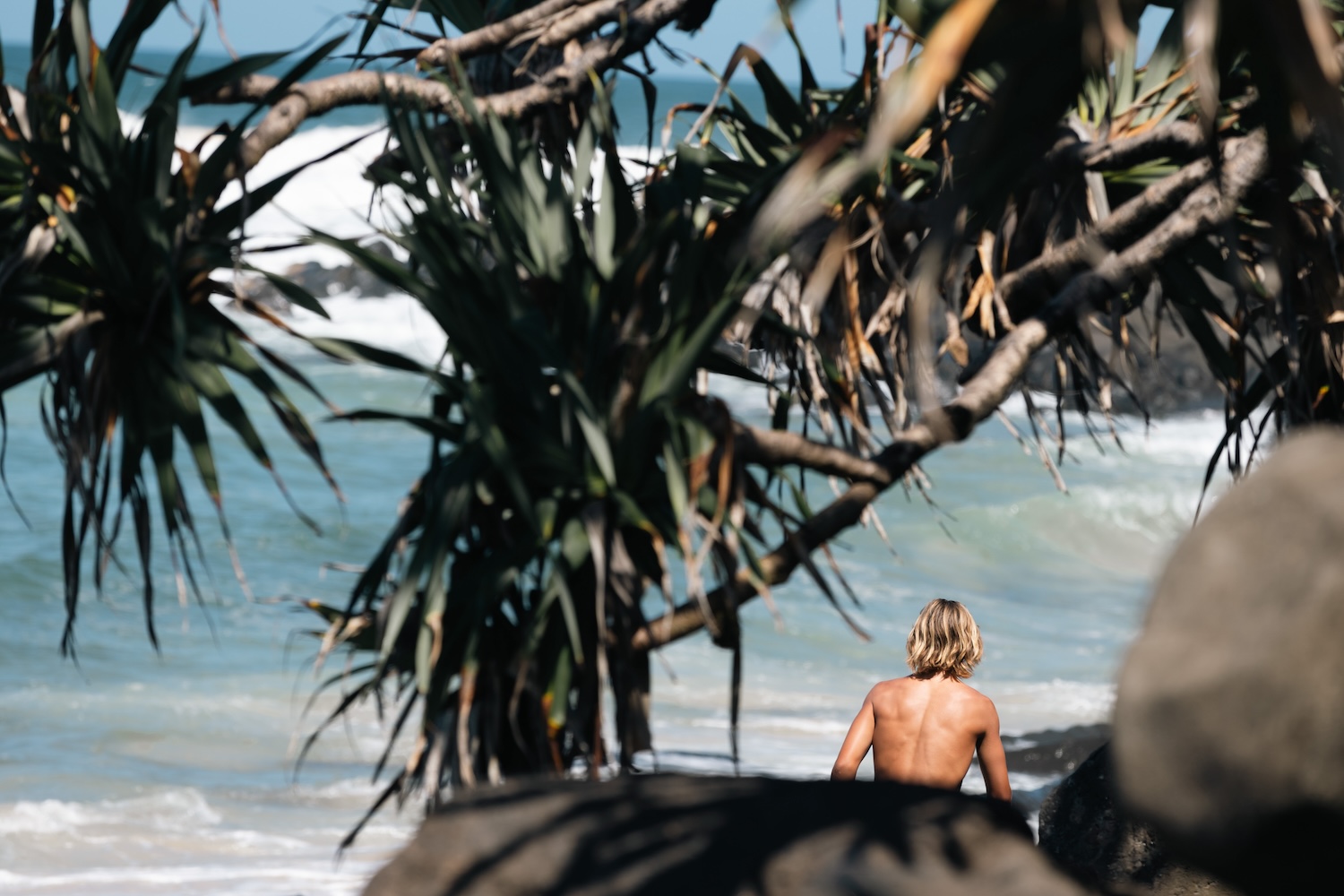 Palm tree covering a male with blonde hair and waves in the background
