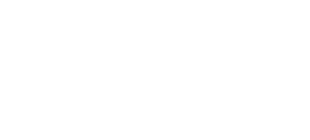 White logo that reads 'LITO'