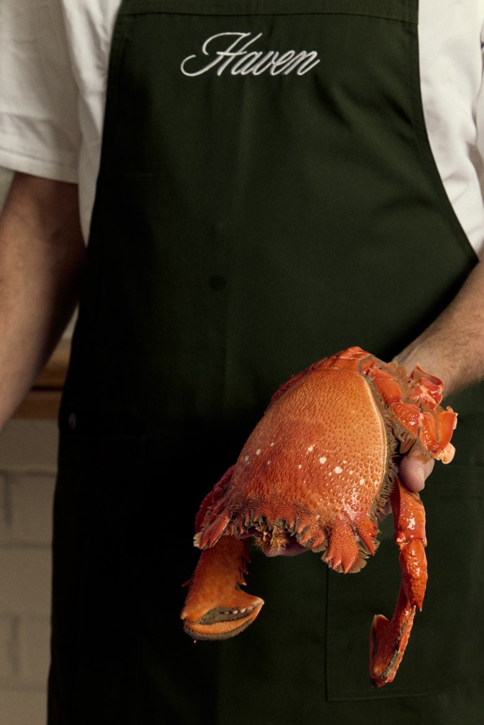 Chef in apron holds a crustacean