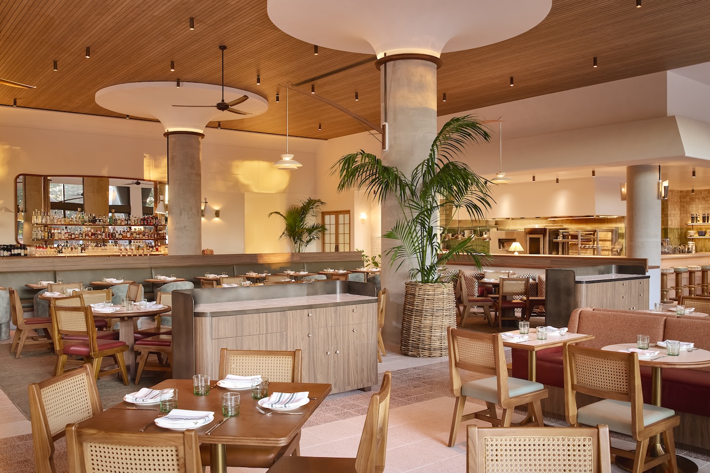 Large restaurant dining room with tables, chairs, and palm tree