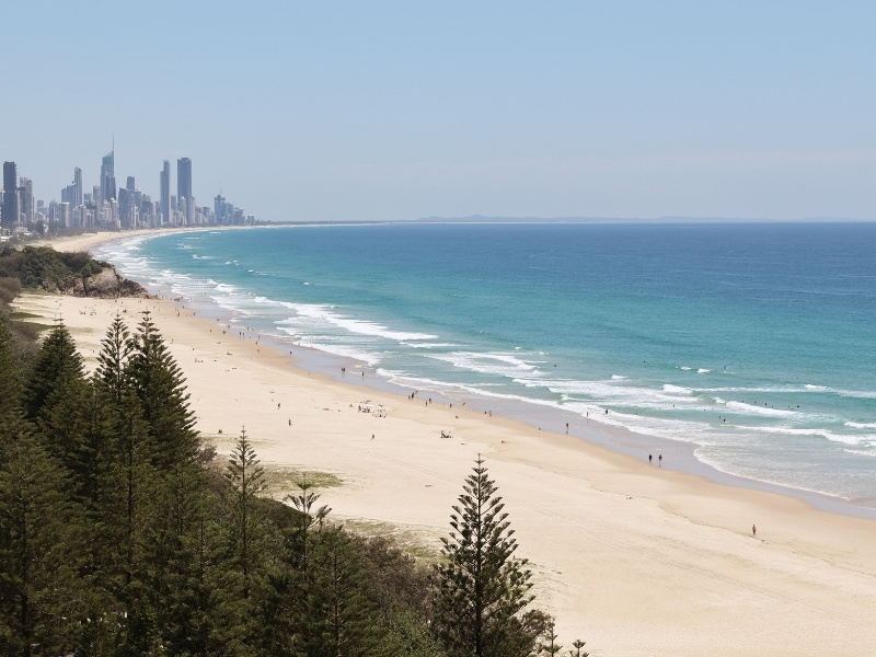 Sandy beach with cityscape in the far distance and pine trees in the corner