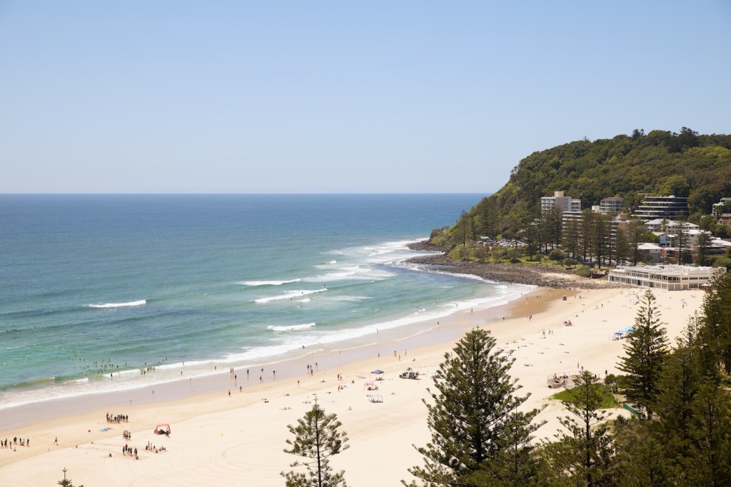 Blue ocean, sands, and pine trees