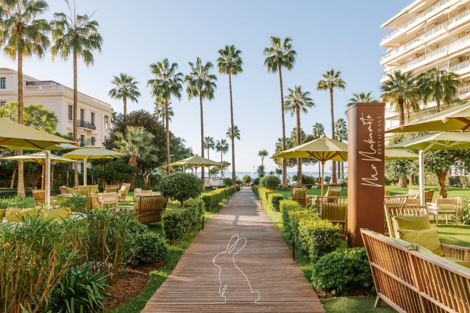 outdoor courtyard with walkway and palm trees