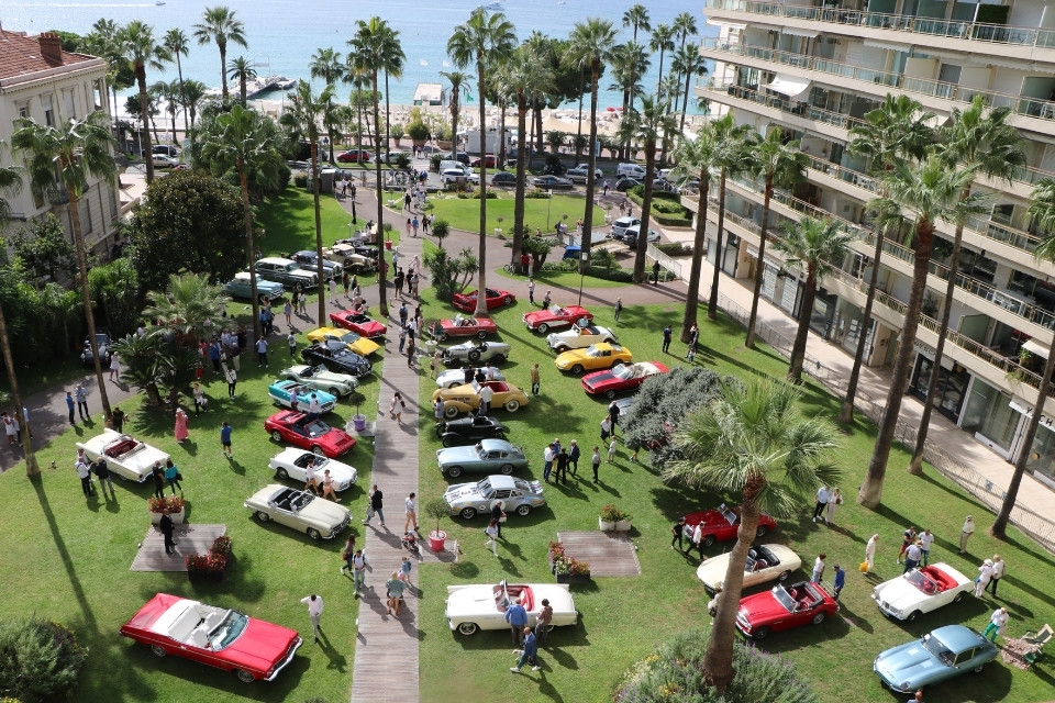 Garden with palm trees and old cars