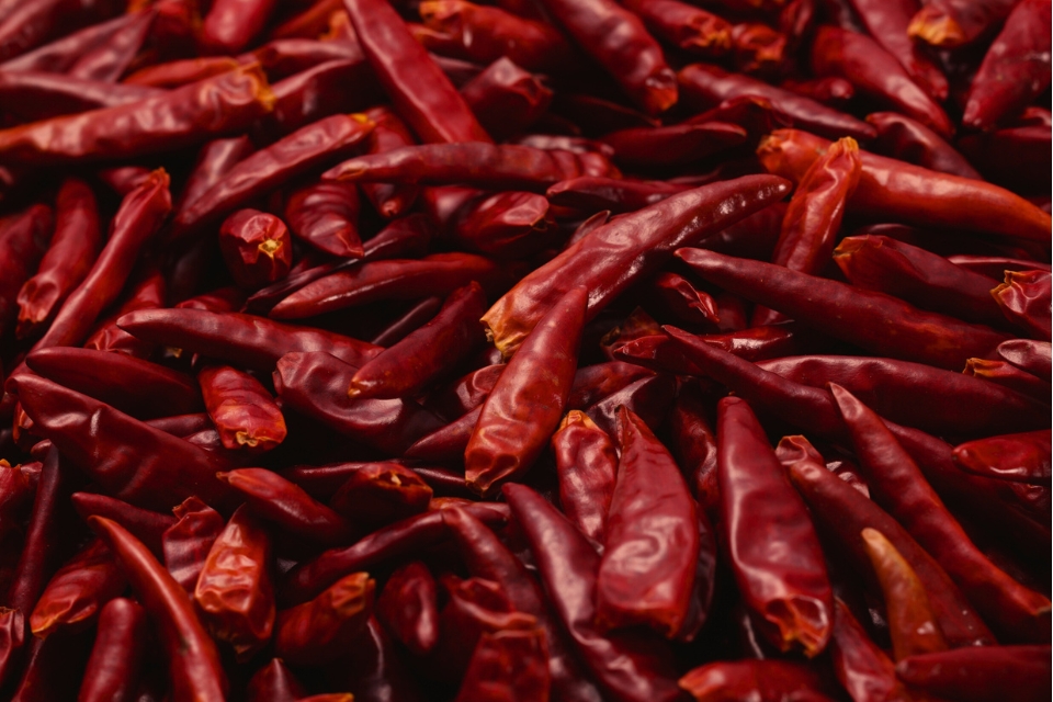 Bundle of Red Hot Chili Peppers