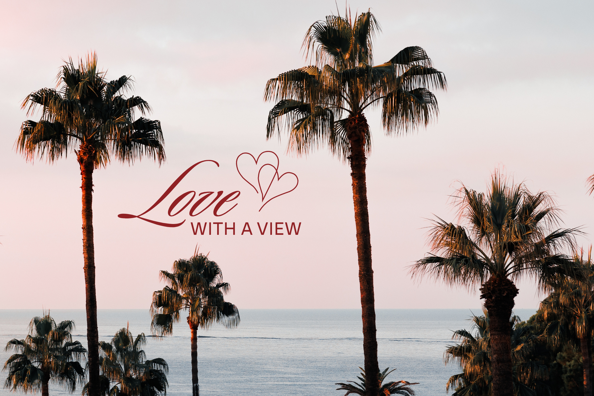 Valentine's Day offer